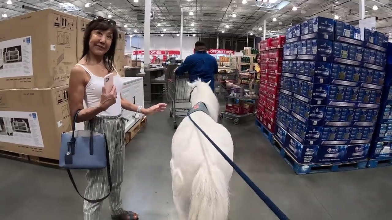 Lt. Rowdy visits Costco Wholesale - Woodland Hills, CA 2 of 2 72923