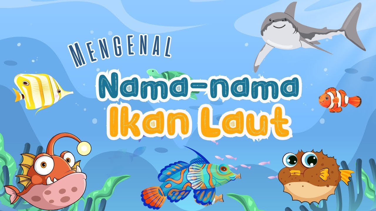 Yuk Belajar!Mengenal Ikan Laut Mudah dan Seru|Belajar Hewan Laut untuk Anak