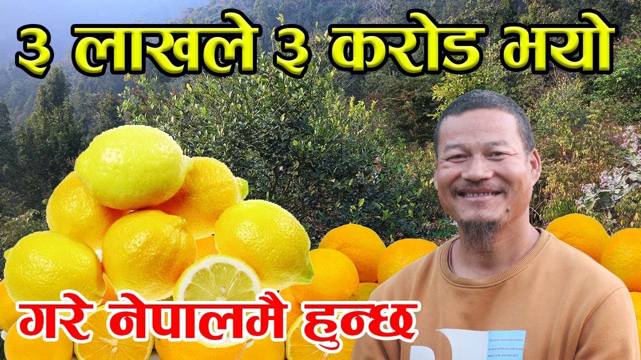 ३ लाखबाट ३ करोड जोडेका किसान भन्छन्, ‘बिदेश किन जान पर्यो ? गरे नेपालमै हुन्छ’ │Nepal Chitra