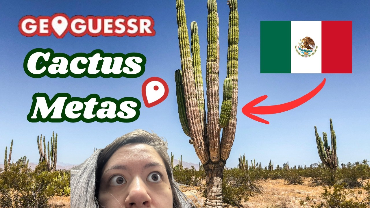 Learning Cactus Metas In Geoguessr 🌵