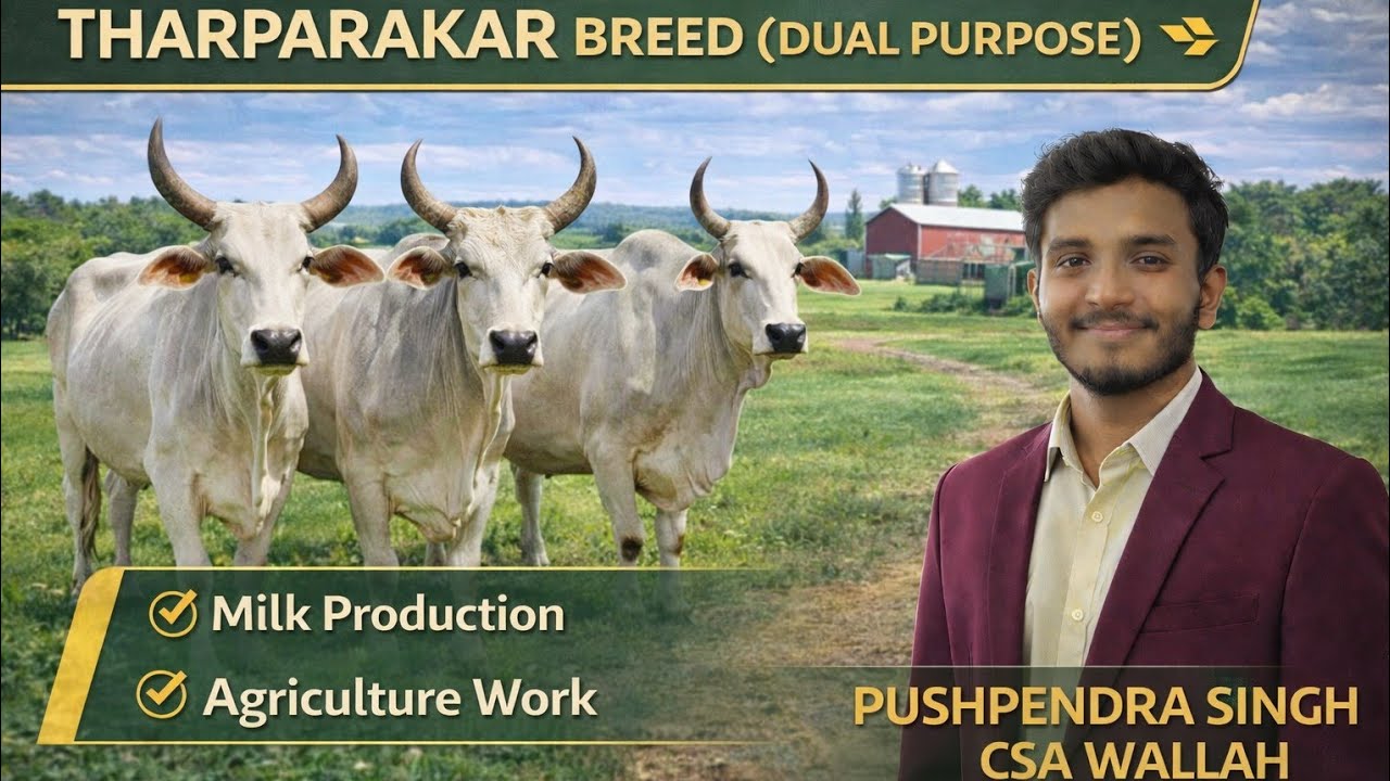 #tharparkar