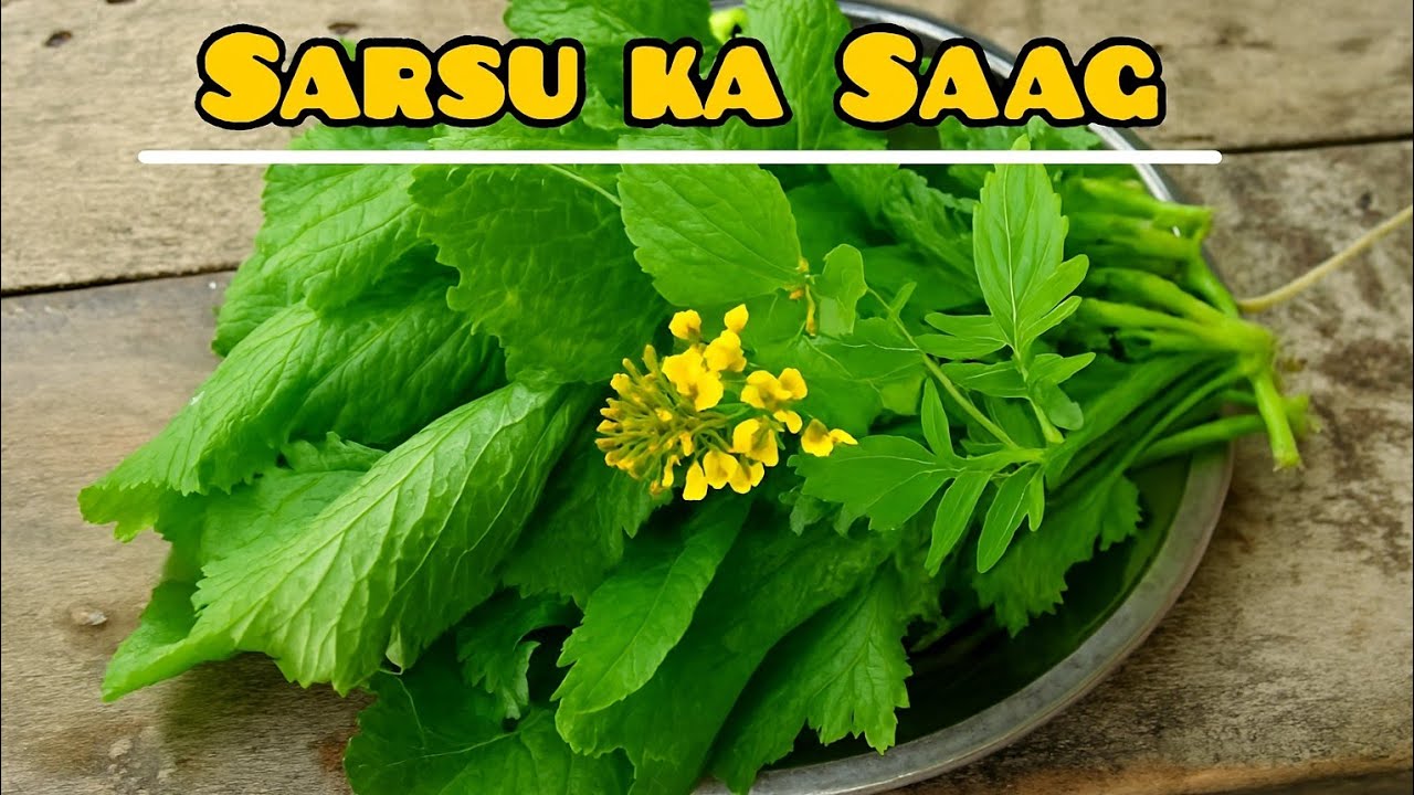 Sarso ka saag | kashmiri version #viral # youtubeshorts#recipe #homethalistory #sarsokasaag