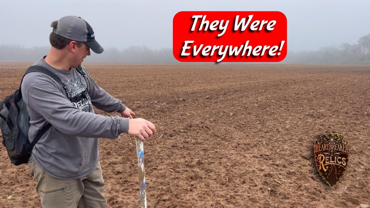 We Couldn't Take A Step Without Seeing One!