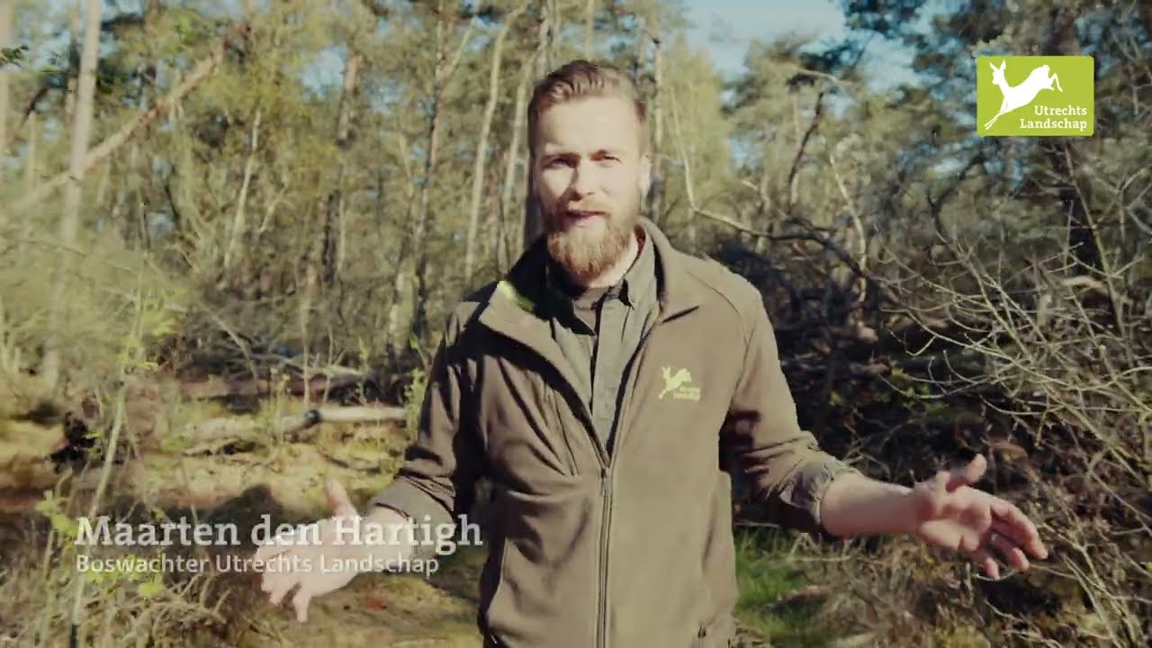 Stormpad Breeveen - Twee jaar na de valwind