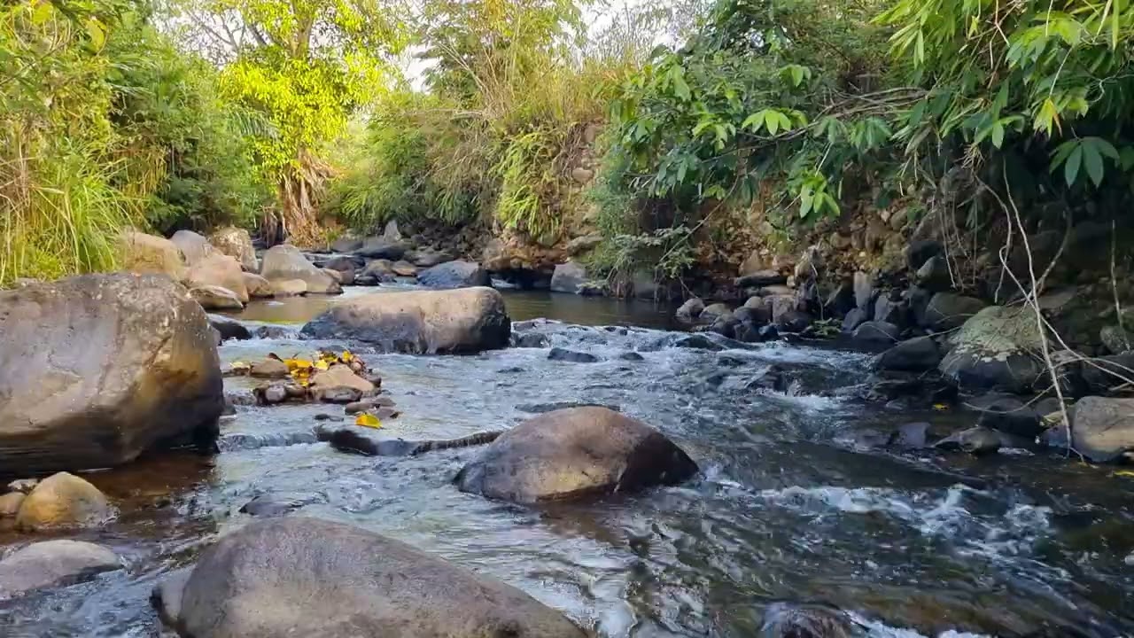 Calm River Flow Ambience For Clear Focus & Relaxed Productivity 4K &bull; 1 Hour River Stream Ambience