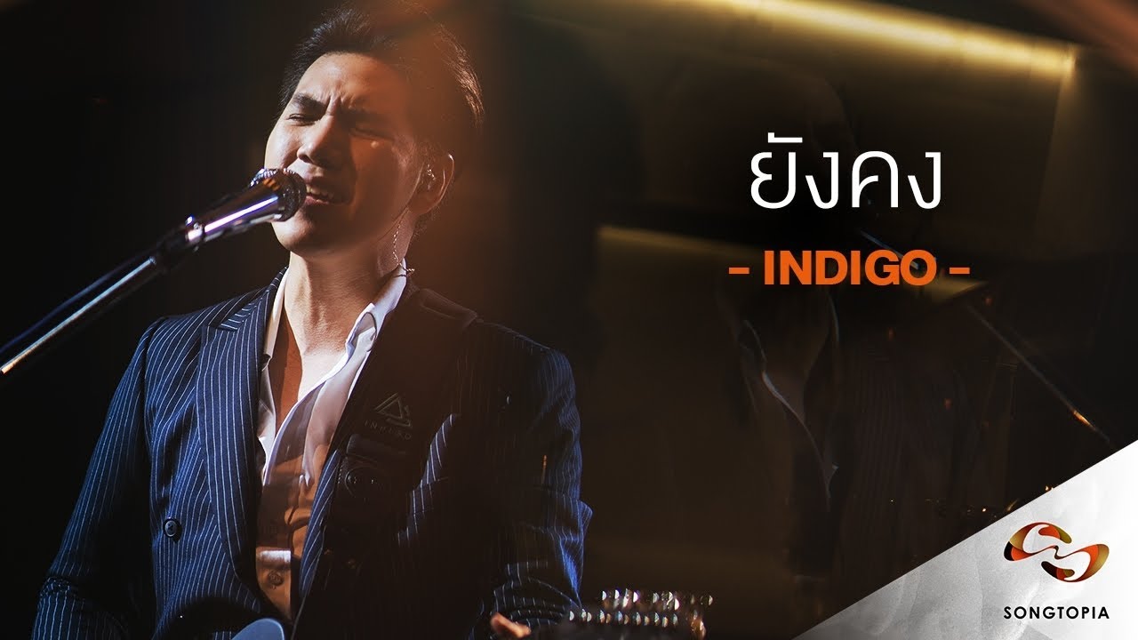 ยังคง - INDIGO | Songtopia Livehouse