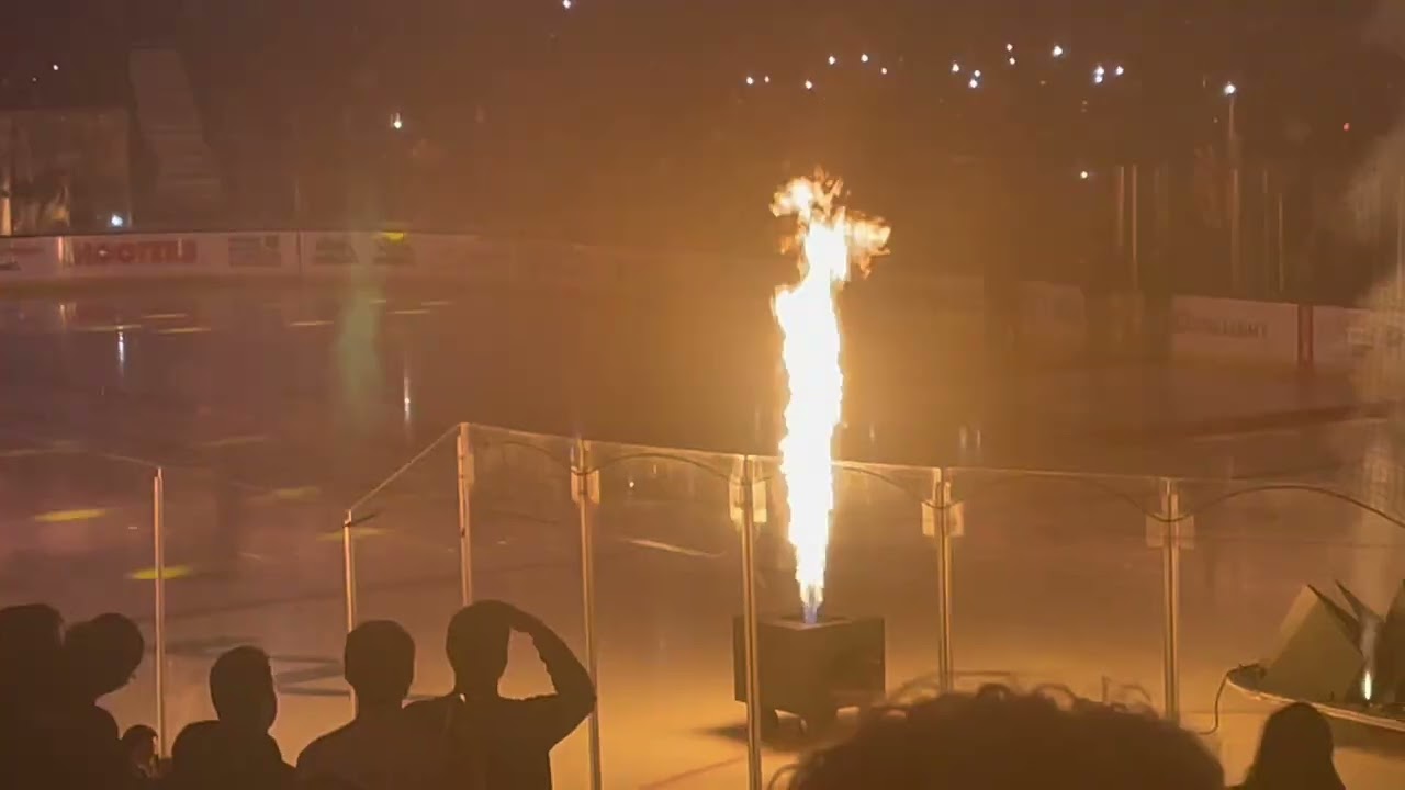 I went to the Allstate Arena in Rosemont, Illinois ￼