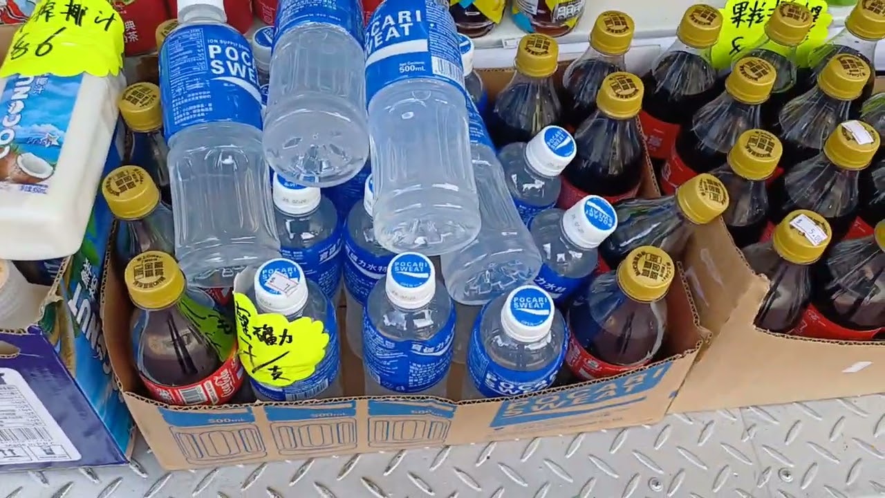 威仔一日遊 36 元朗 朗屏村 外圍買餸 民生 23-6-2025