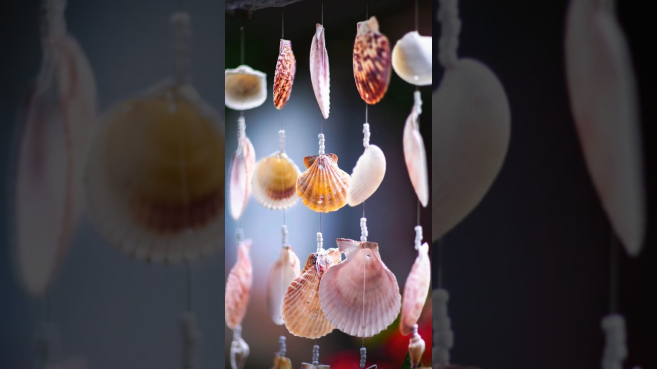 From Camera to Final Edit | Seashell Photography 