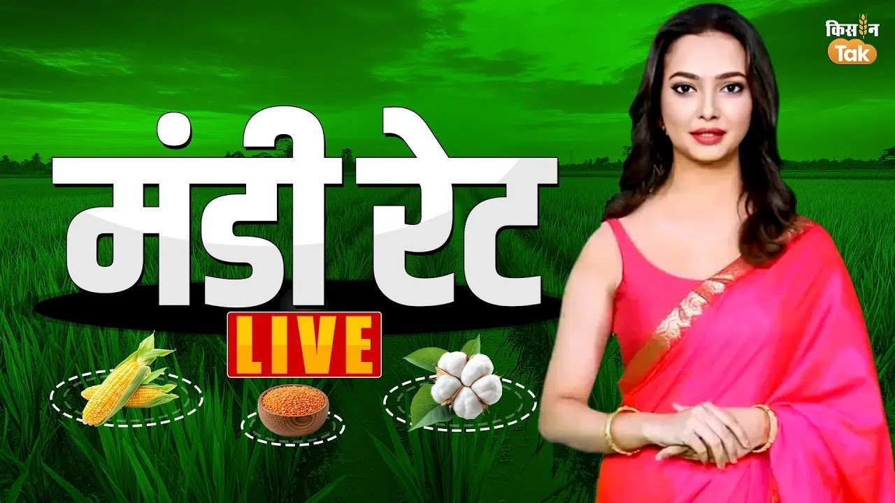 Mandi Rate Live- जानें 6 मार्च को देश भर की मंडियों में फसलों के रेट | MSP | Mandi Bhav