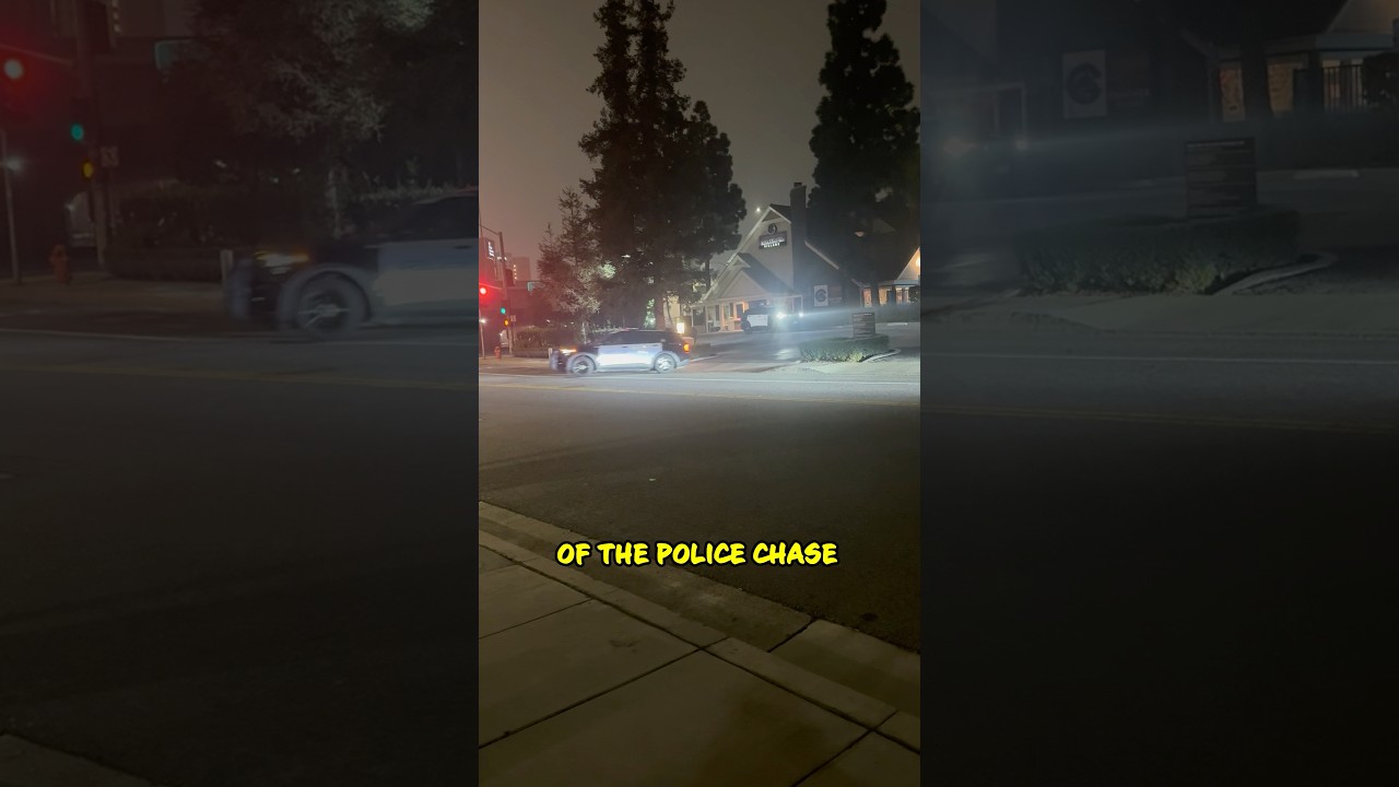 Cops Lost Suspect Right In Front Of Them - Unfortunate Police Fail 😳