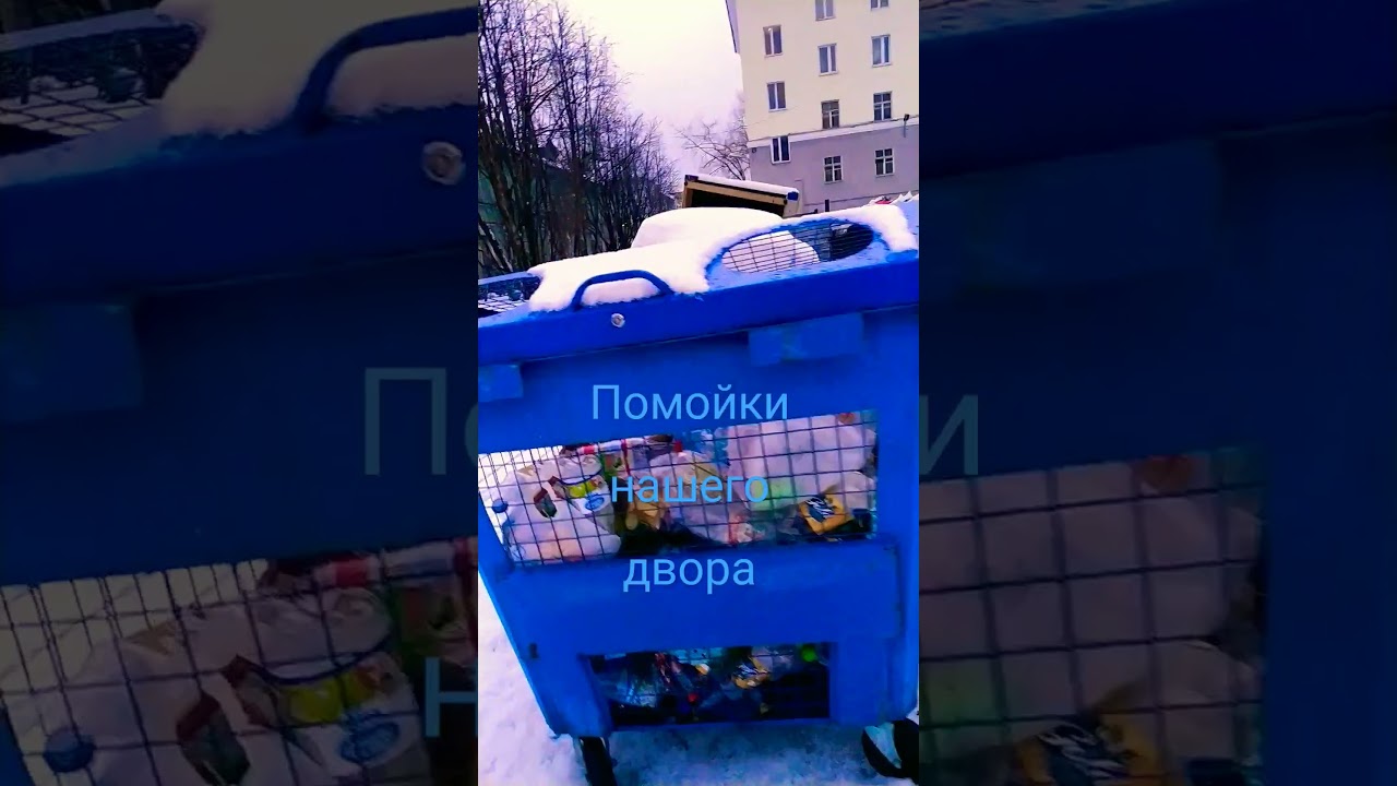 Рубрика: ПОМОЙКИ НАШЕГО ДВОРА