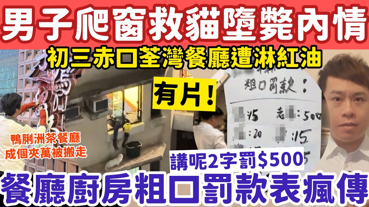 男子爬出窗救貓墮斃曝內情？餐廳廚房粗口罰款表講呢2字罰$500？19-2-2026