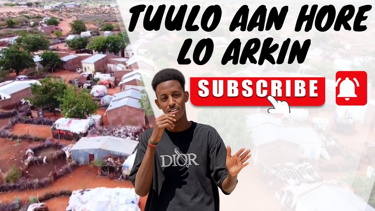 Tuulo aan la arkin?