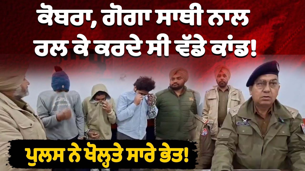 ਕੋਬਰਾ, ਗੋਗਾ ਸਾਥੀ ਨਾਲ ਰਲ ਕੇ ਕਰਦੇ ਸੀ ਵੱਡੇ ਕਾਂਡ ਤੇ ਹੁਣ ਪੁਲਸ ਨੇ ਖੋਲ੍ਹਤੇ ਸਾਰੇ ਭੇਤ!