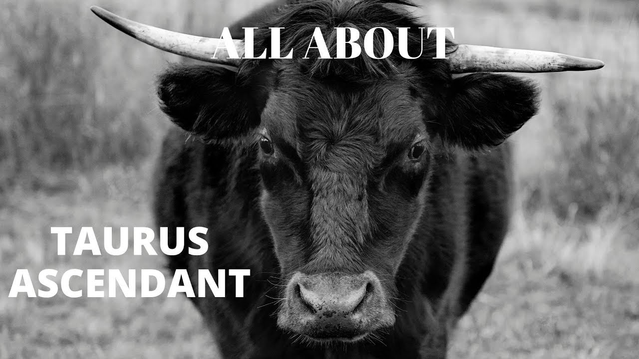 ALL ABOUT TAURUS ASCENDANT/ TAURUS ZODIAC SIGN/ TAURUS LIFE-PATH/ TAURUS PERSONALITY