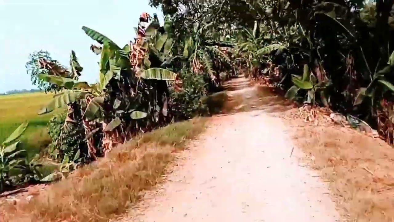 Kinh 5 mến mới lán đal rất đẹp 