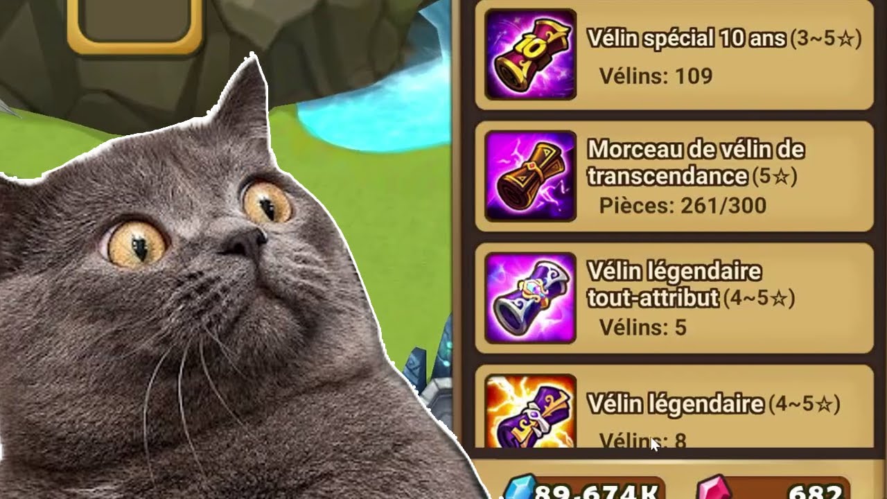 La SUMMON SESSION du CHAT (féminin) !  [Summoners War]