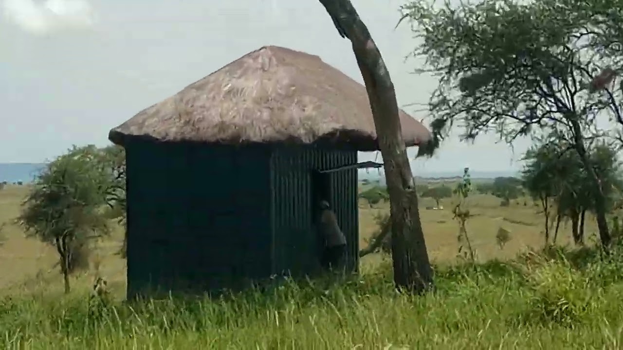 Mawe Meupe - Serengeti @serengetisafarionedayattim8145  @AfricanRemotesExplorer @WODEMAYA @ 
