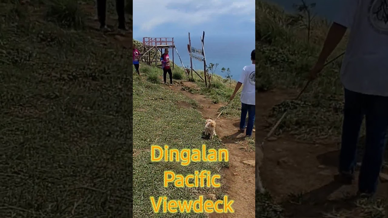 Pacific Viewdeck