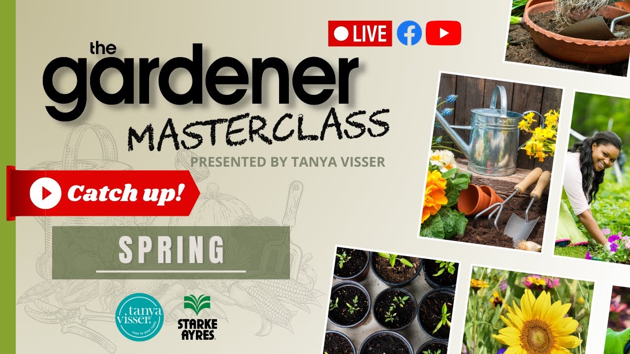Spring Masterclass | LIVE with Tanya Visser