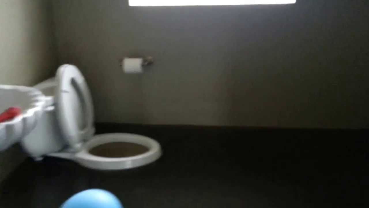 Water and Mold Damage Repair Chicago