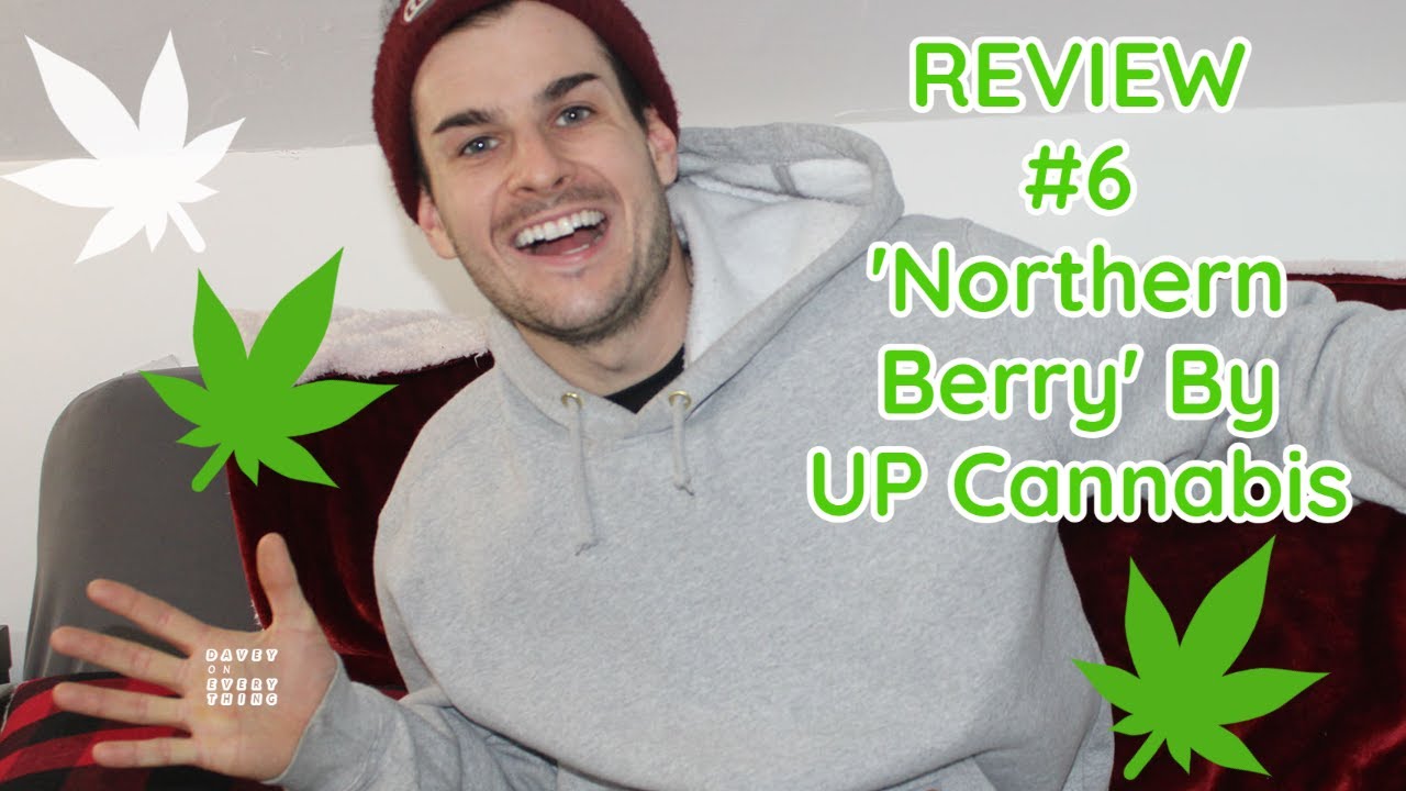Weed Review #6: 'Northern Berry UP20' By UP Cannabis