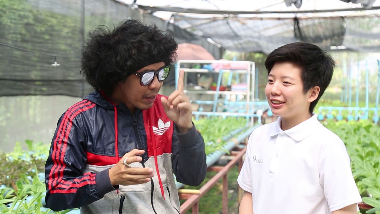 ชิมไปทั่วโลก EP8  ร้าน 9 SALADs | นายน์สลัด