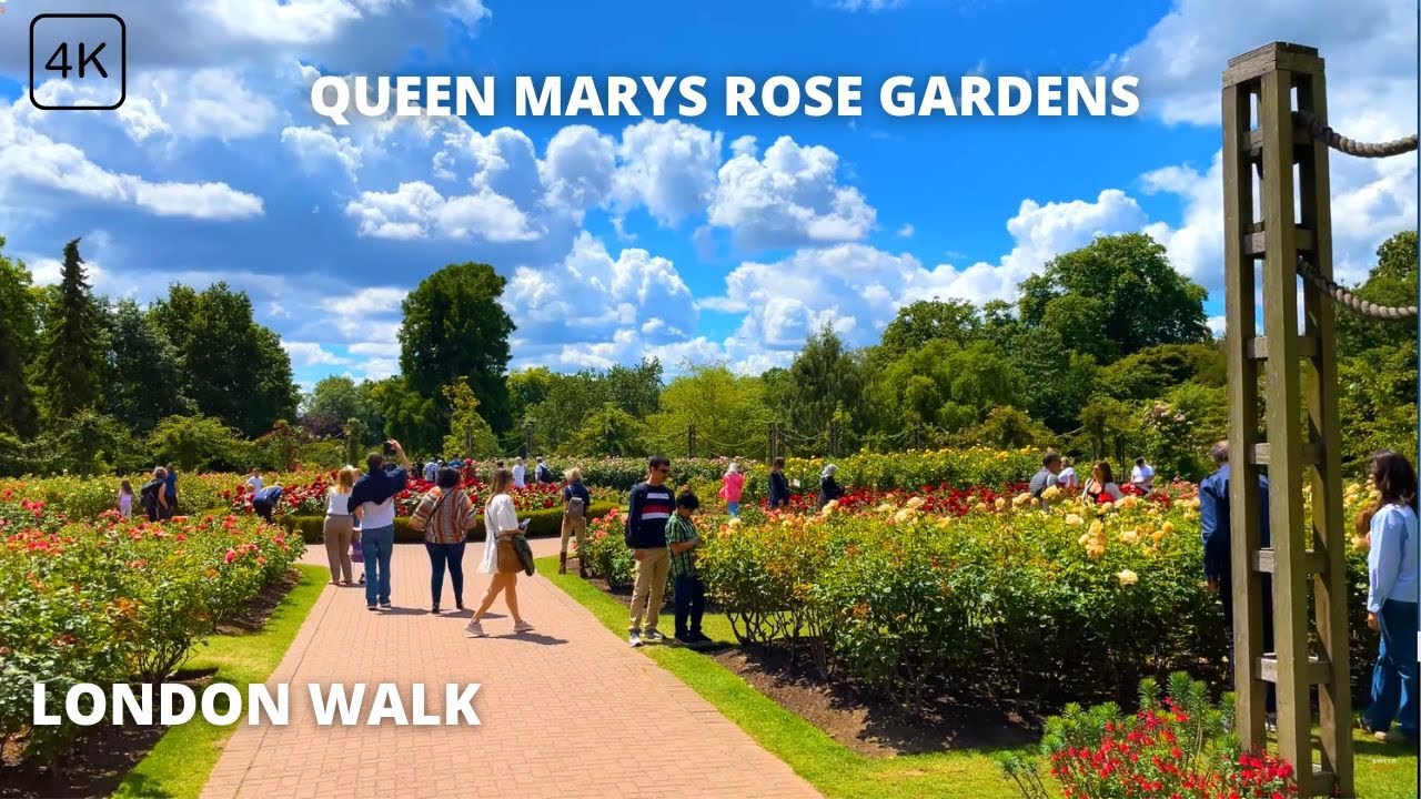 Summer London Walk between 12,000 Roses in Queen Mary's Gardens 🌹  4K | Royal Park | England