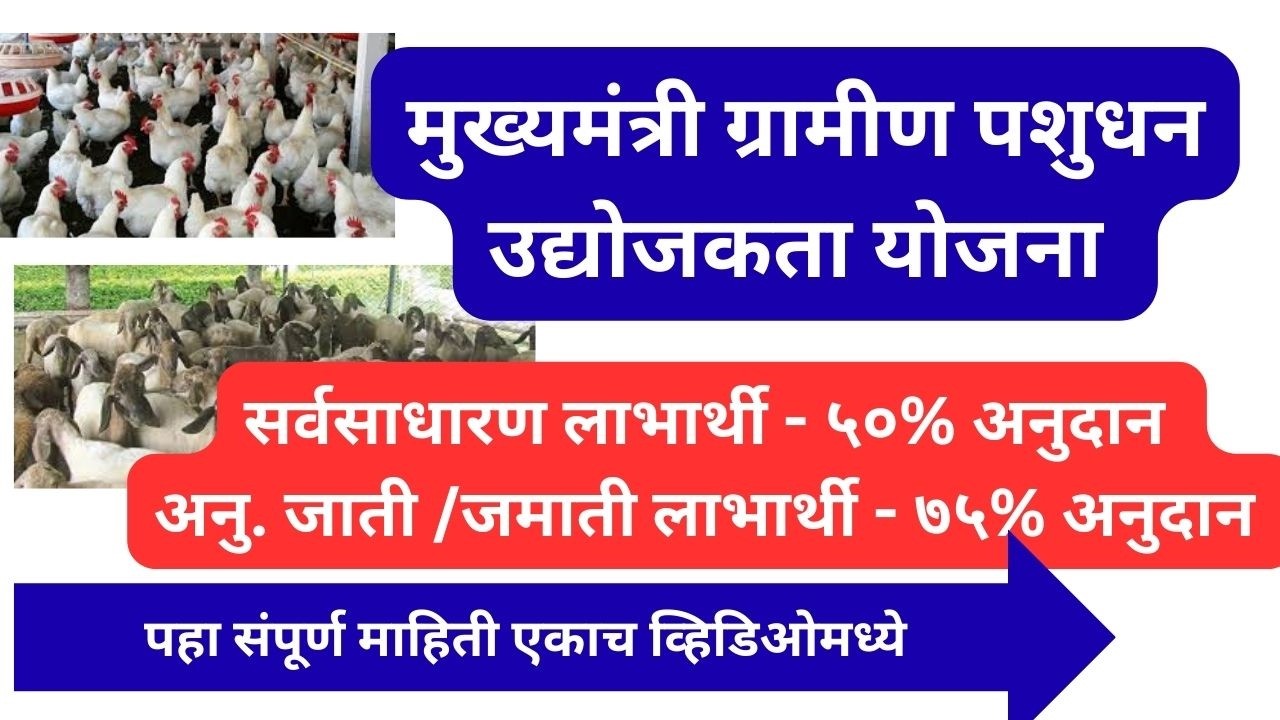 Pashudhan Yojana | मुख्यमंत्री ग्रामीण पशुधन उद्योजकता योजना |