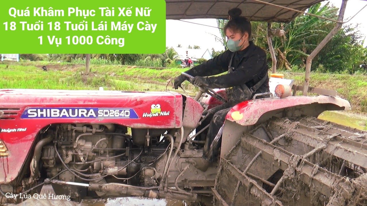 Quá Khâm Phục Tài Xế Nữ 18 Tuổi Lái Máy Cày 1 Vụ 1000 Công Đất