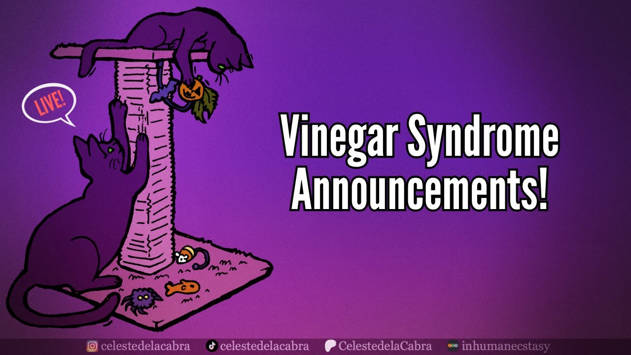 Vinegar Syndrome February Announcements! Plus Viewer Requested Reviews - LIVE!
