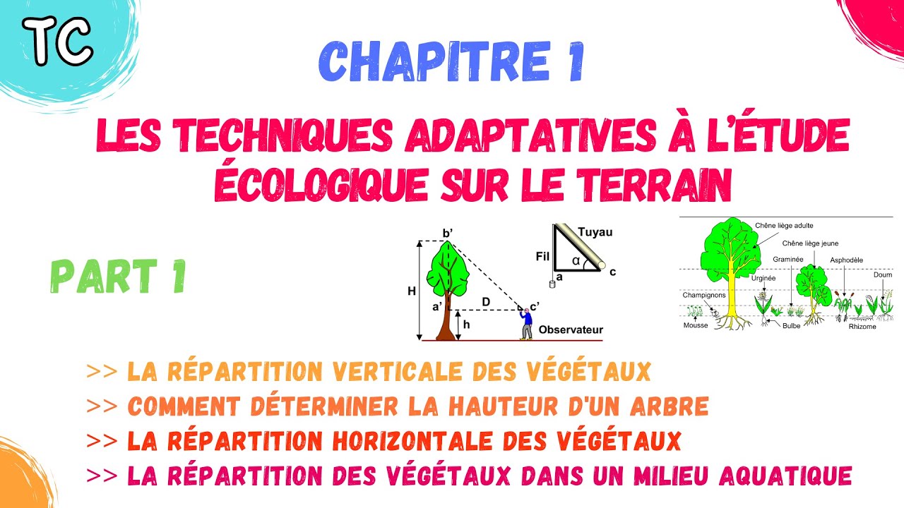 TCS SVT | Chapitre 1: Les techniques adaptatives à l’étude écologique sur le terrain |  partie 1