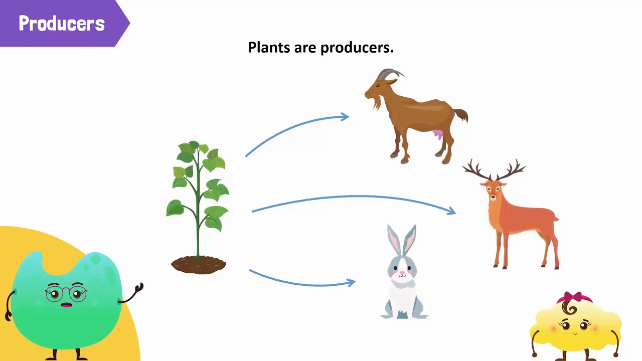Environment, and Difference Between Biotic and Abiotic Components