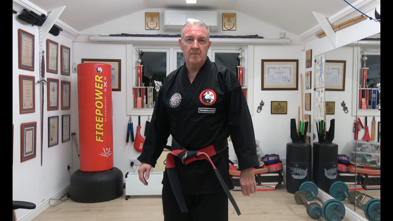 Ki Kong Tang Soo Do - TSD Basics 03