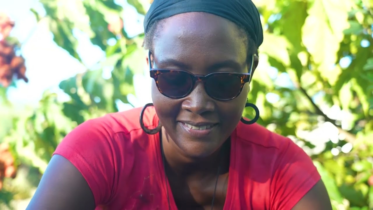 Cultivons les solutions : les jardins créoles en Guadeloupe