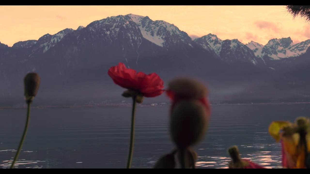 Panasonic AG-DVX200 (Lac of pully and Lac of montreux filmed in 4k)