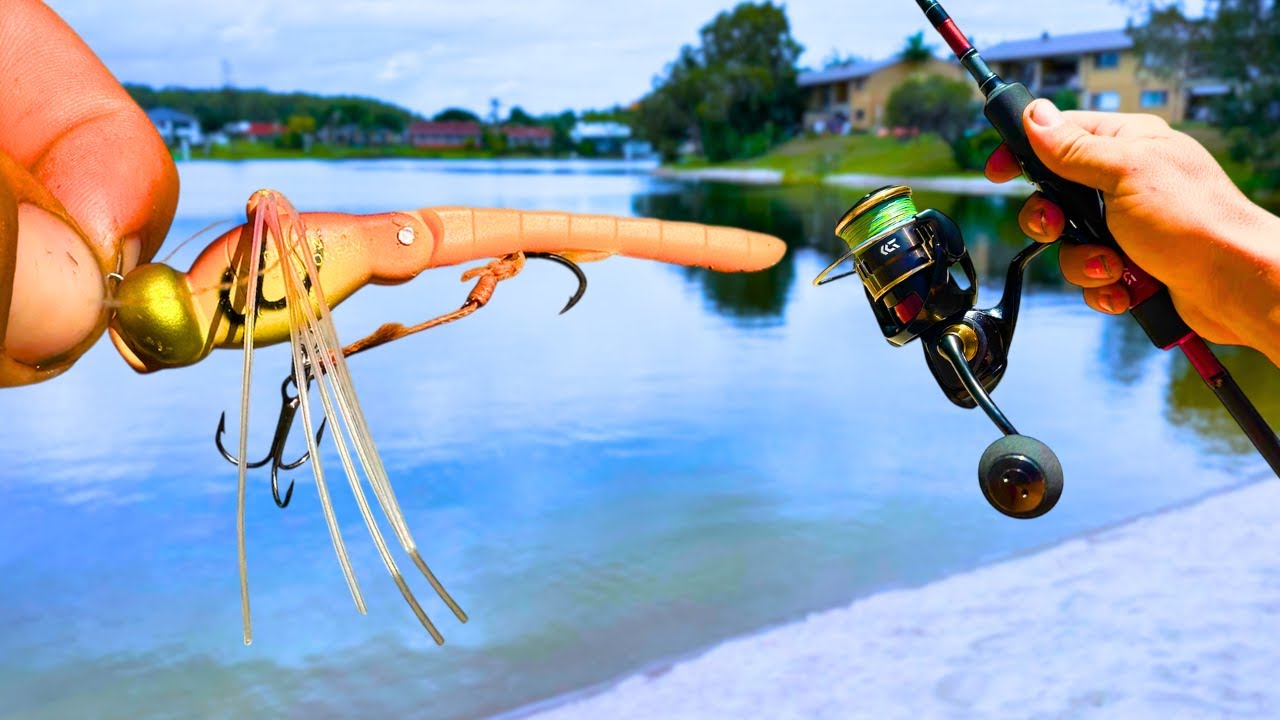 Is This The BEST INSECT LURE For Land Based Fishing?
