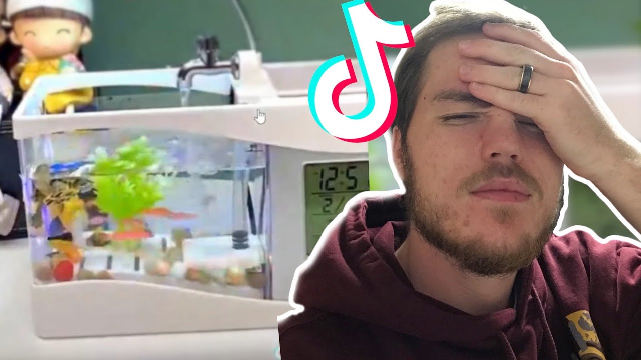 Fish Biologist reacts to AWFUL Aquariums