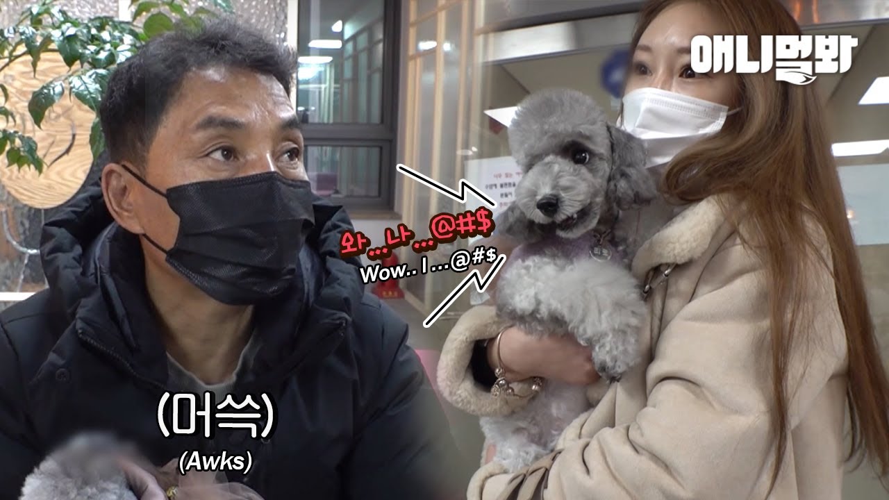 동물농장 최초 갓찬종 도움없이 개싸움 해결 가능한 부분..?ㅣ'You Don't Bother Even Dogs When They're Eating'