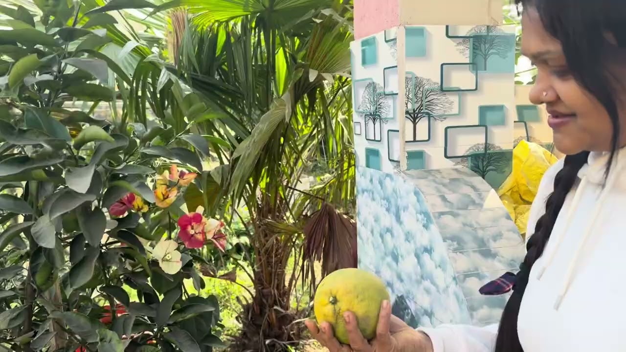 অনেকদিন পরে বাগানে এসে দেখলাম অনেক স্বার্থপর হয়ে গেছে।