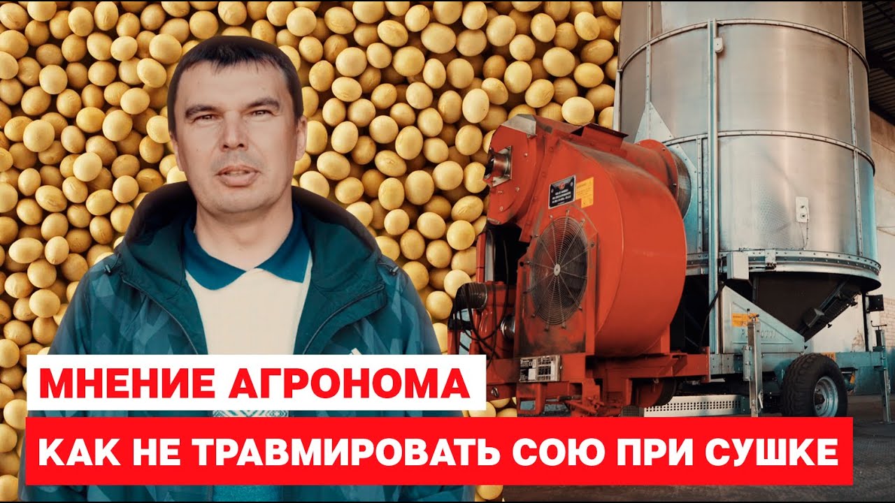 Как не травмировать сою при сушке. Мнение агронома.