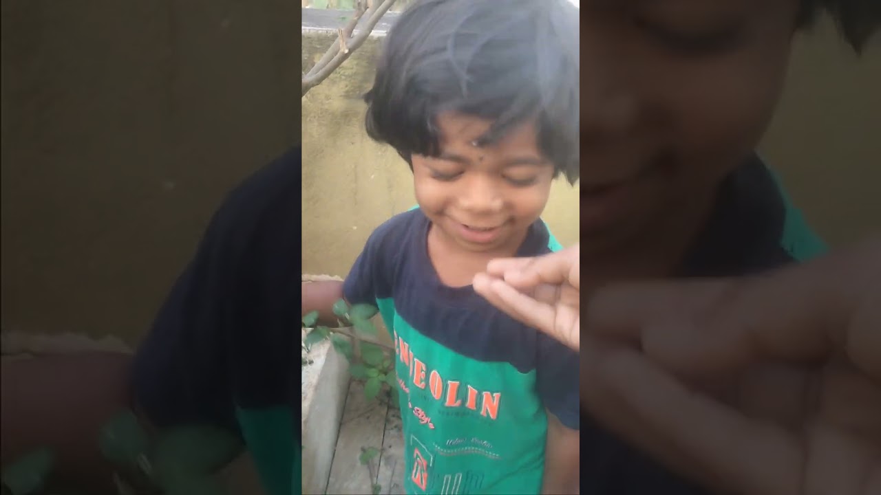 வாங்க பார்க்கலாம் எங்க வீட்டு தோட்டம் 🌿🌿🌿