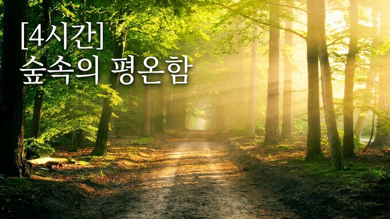 [Playlist] 휴식과 수면을 위한 피아노음악 모음 🎶 Healing Sleeping Music Playlist 🎹