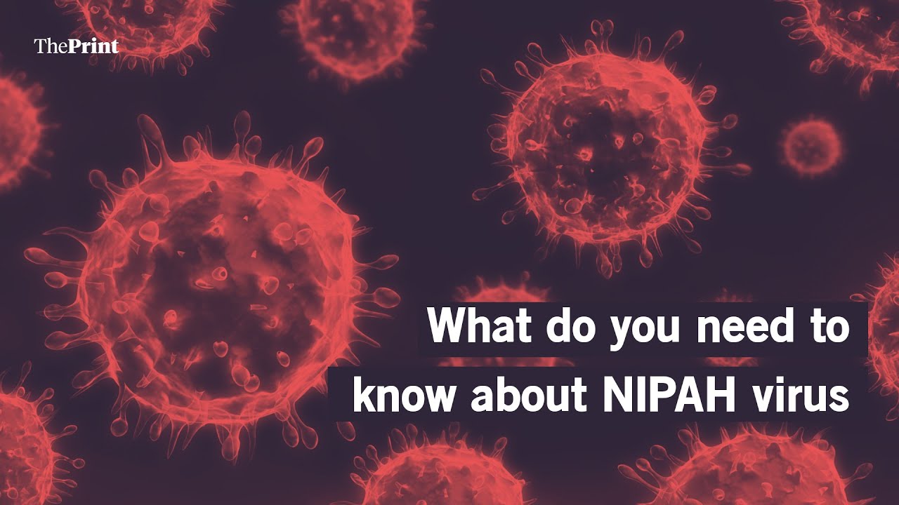 Here is what you need to know about the Nipah virus which has killed 9 people so-far