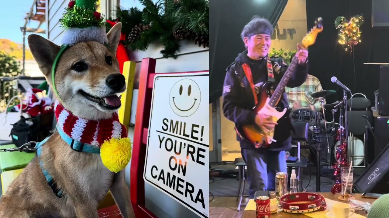 WELCOME TO MY PARTY (NOBODY) cover HORIZON DOGS