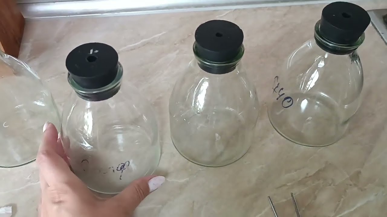 Варка питательной среды для посева семян орхидей💦🧪Сапфир и цветонос🌿😊