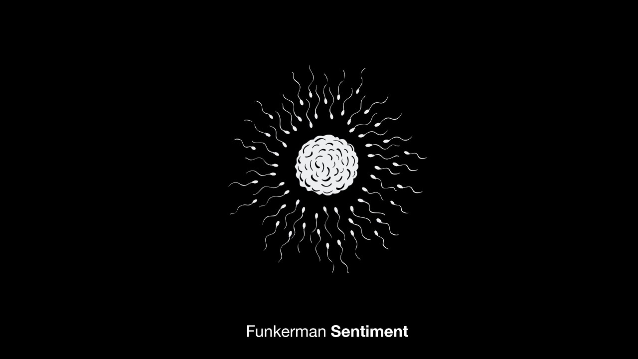 Funkerman - Sentiment [Mixed album] (Flamingo Recordings)