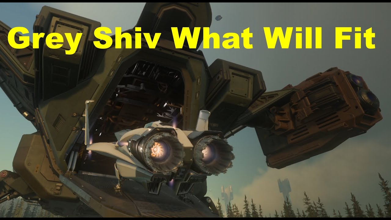 Star Citizen Grey Shiv What Will Fit