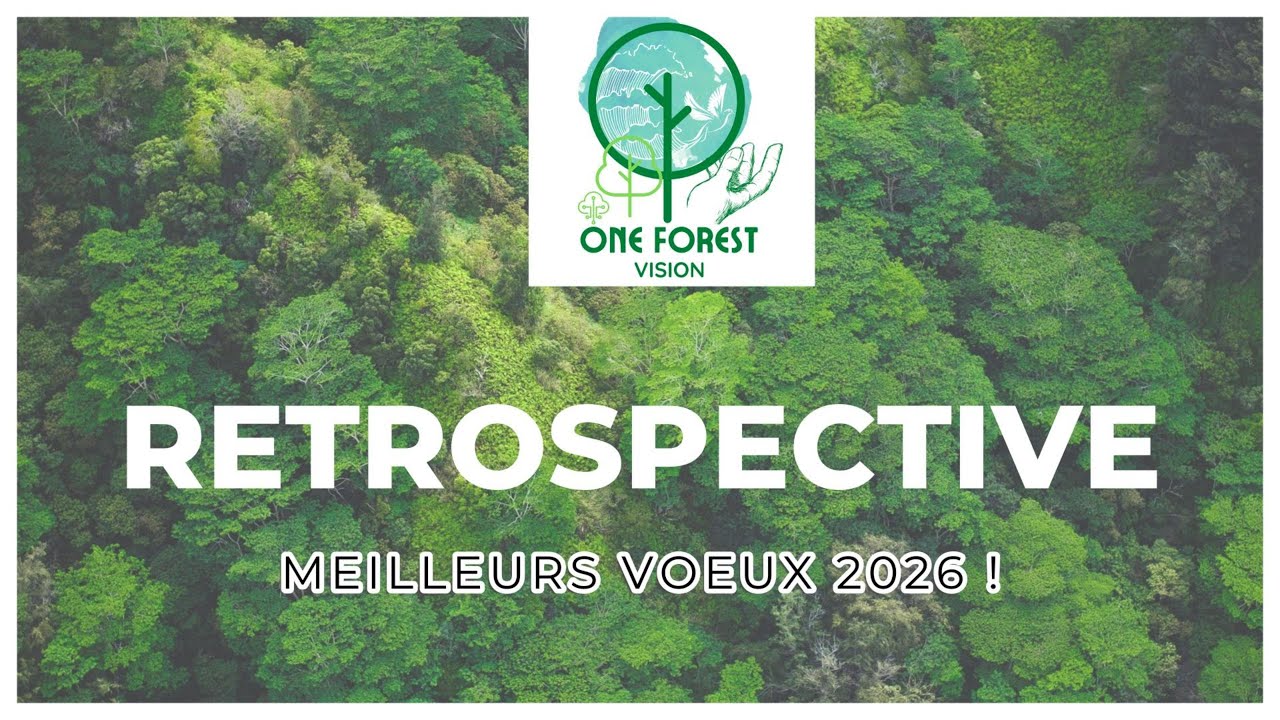 Rétrospective en images One Forest Vision 2025